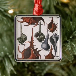 Vintage Seashells, marinliv, Snäckor i havet Julgransprydnad Metall