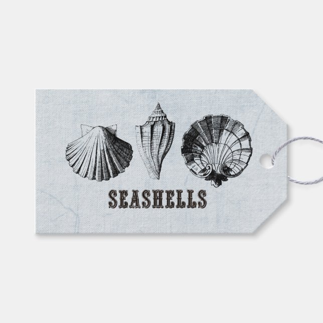 Vintage Seashells Presentetikett (Framsidan (Horisontell))