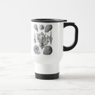 Vintage Seashells Resemugg