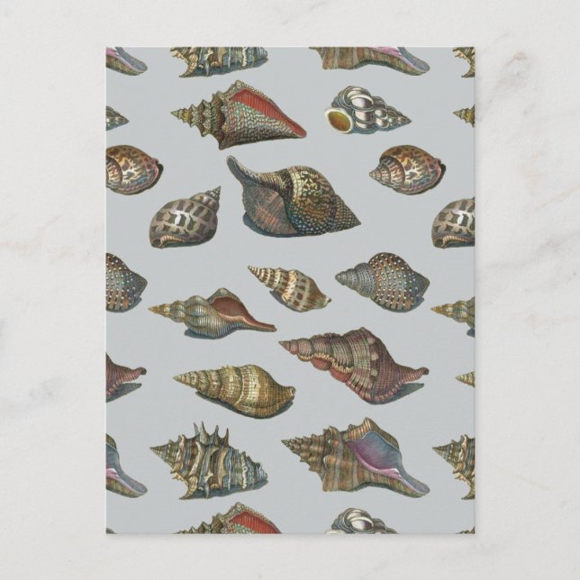 Vintage Seashells Vykort (Framsida)