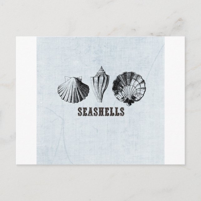 Vintage Seashells Vykort (Framsida)