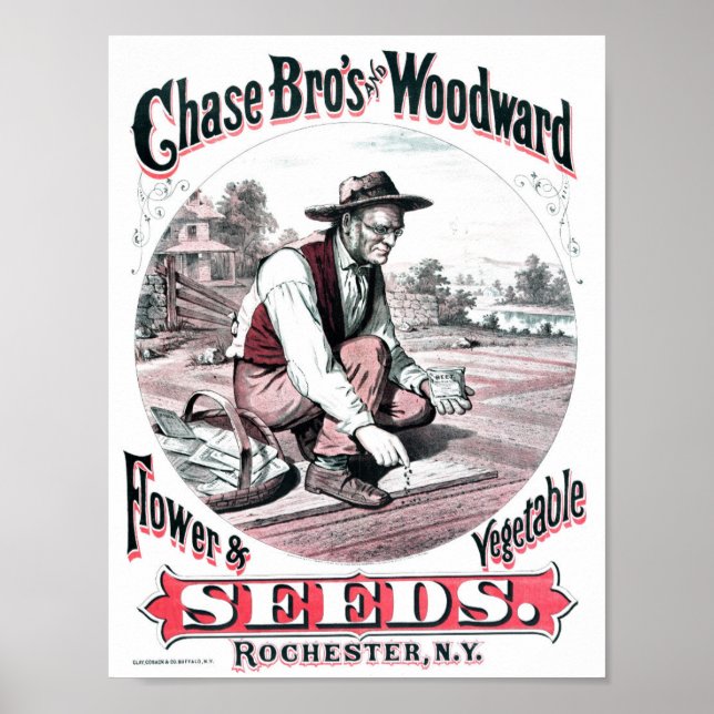 Vintage Seed Advertisement Poster (Framsidan)