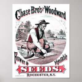 Vintage Seed-annonsering Poster