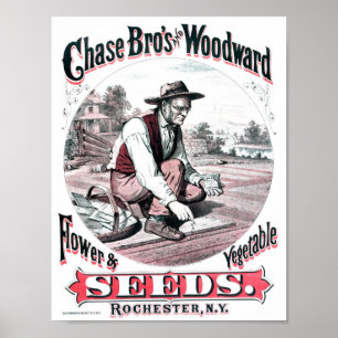 Vintage Seed-annonsering Poster