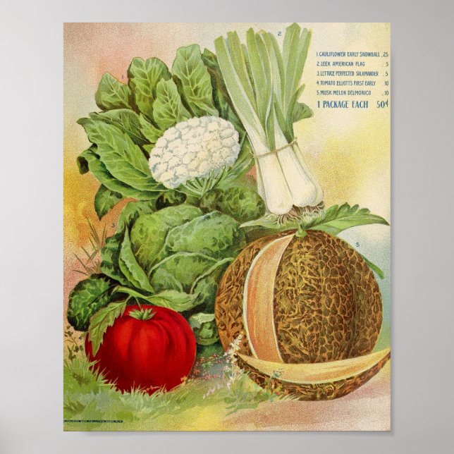 Vintage Seed-annonsering Poster (Framsidan)