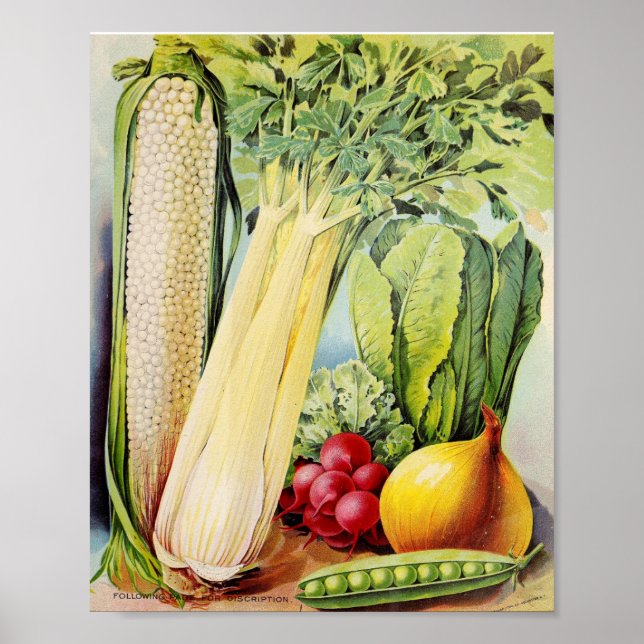 Vintage Seed-annonsering Poster (Framsidan)