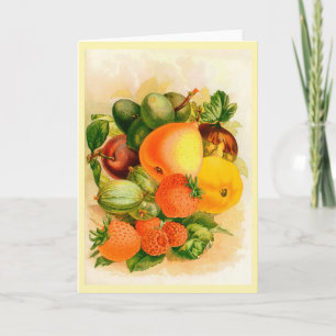 Vintage Seed Catalog Cover Greeting Card Kort