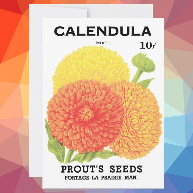 Vintage Seed Packet Art, Calendula Flowers (Skapare uppladdad)