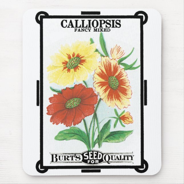 Vintage Seed Packet Art, Calliopsis Flowers Musmatta (Framsidan)