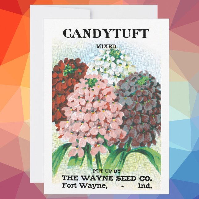 Vintage Seed Packet Art, Candytuft Garden Flowers (Skapare uppladdad)