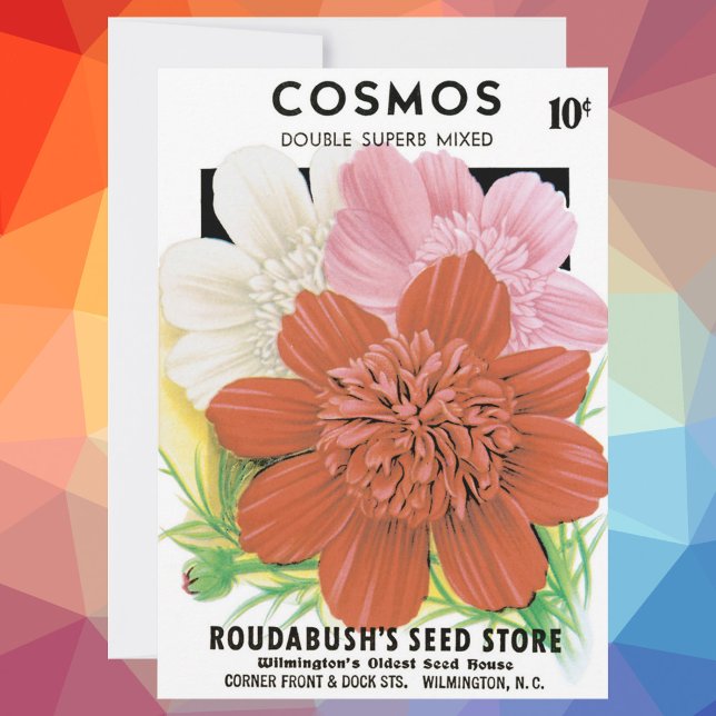 Vintage Seed Packet Art, Cosmos Garden Flowers (Skapare uppladdad)