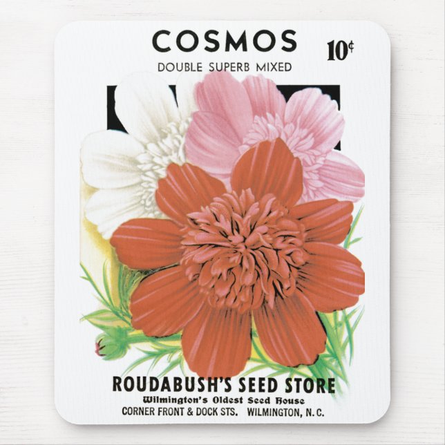 Vintage Seed Packet Art, Cosmos Garden Flowers Musmatta (Framsidan)