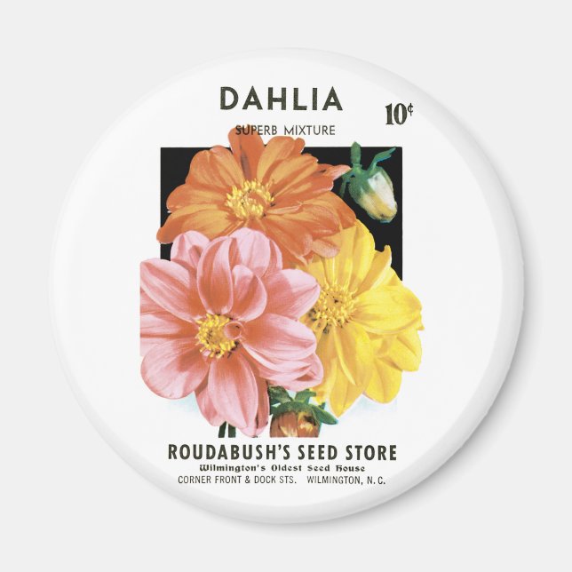 Vintage Seed Packet Art, Dahlia Garden Flowers Magnet (Framsidan)