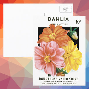 Vintage Seed Packet Art, Dahlia Garden Flowers Vykort