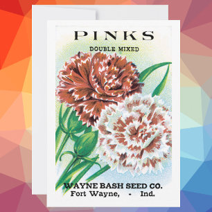 Vintage Seed Packet Art, Pinks Carnation Flowers