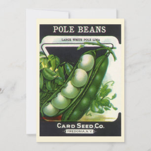 Vintage Seed Packet Art, Pole Lima Beans