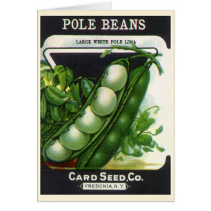 Vintage Seed Packet Art, Pole Lima Beans Hälsningskort
