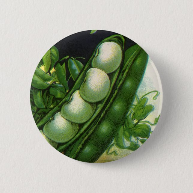 Vintage Seed Packet Art, Pole Lima Beans Knapp (Framsida)