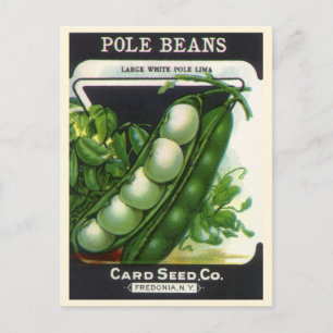 Vintage Seed Packet Art, Pole Lima Beans Vykort