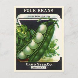 Vintage Seed Packet Art, Pole Lima Beans Vykort