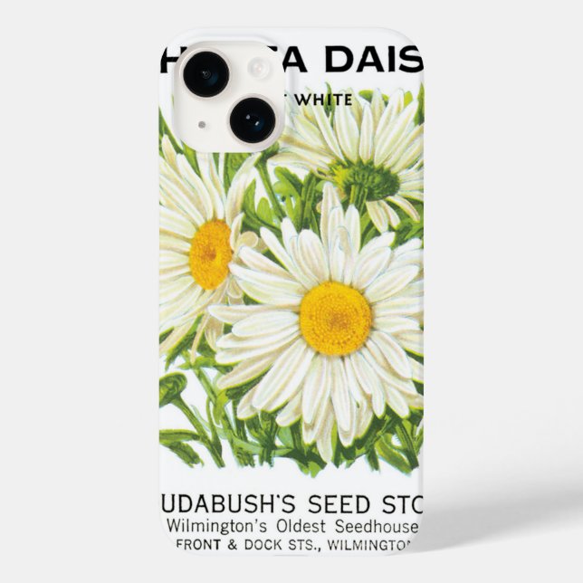 Vintage Seed Packet Art, Shasta Daisy Flowers (Baksida)