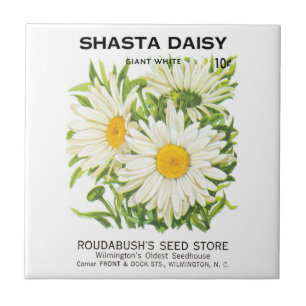 Vintage Seed Packet Art, Shasta Daisy Flowers Kakelplatta