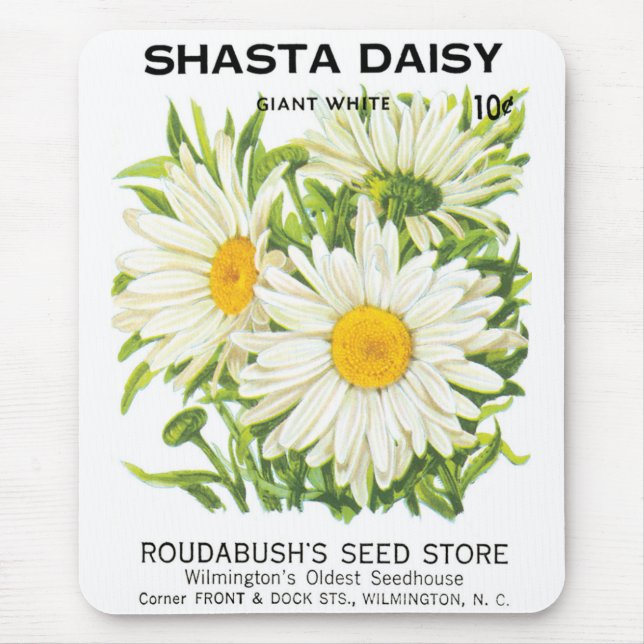 Vintage Seed Packet Art, Shasta Daisy Flowers Musmatta (Framsidan)