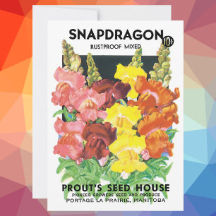Vintage Seed Packet Art, Snapdragon Flowers