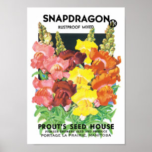 Vintage Seed Packet Art, Snapdragon Flowers Poster
