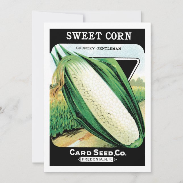 Vintage Seed Packet Art, Sweet White Maj (Framsida)