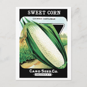 Vintage Seed Packet Art, Sweet White Maj Vykort