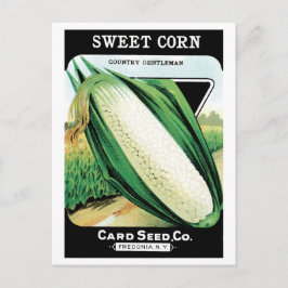 Vintage Seed Packet Art, Sweet White Maj Vykort