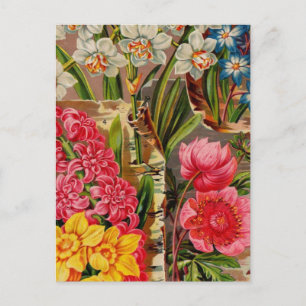 Vintage Seed Packet Catalog Cards, Postage, Gifts Vykort