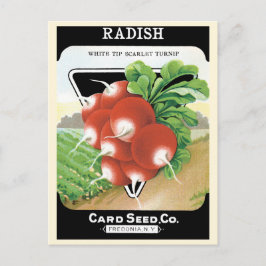 Vintage Seed Packet Ebel Art, Scarlet Radlies Vykort
