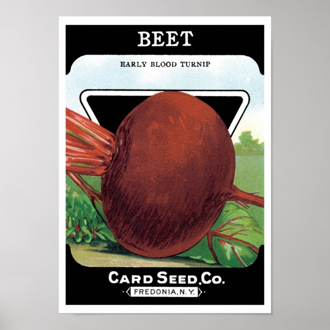 Vintage Seed Packet Label Art, Beet Vegetables Poster (Framsidan)