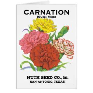 Vintage Seed Packet Label Art, Carnation Flowers Hälsningskort