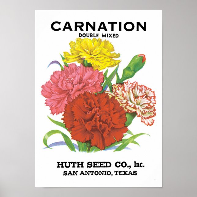 Vintage Seed Packet Label Art, Carnation Flowers Poster (Framsidan)