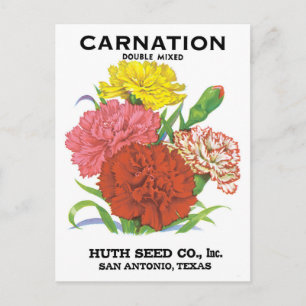 Vintage Seed Packet Label Art, Carnation Flowers Vykort