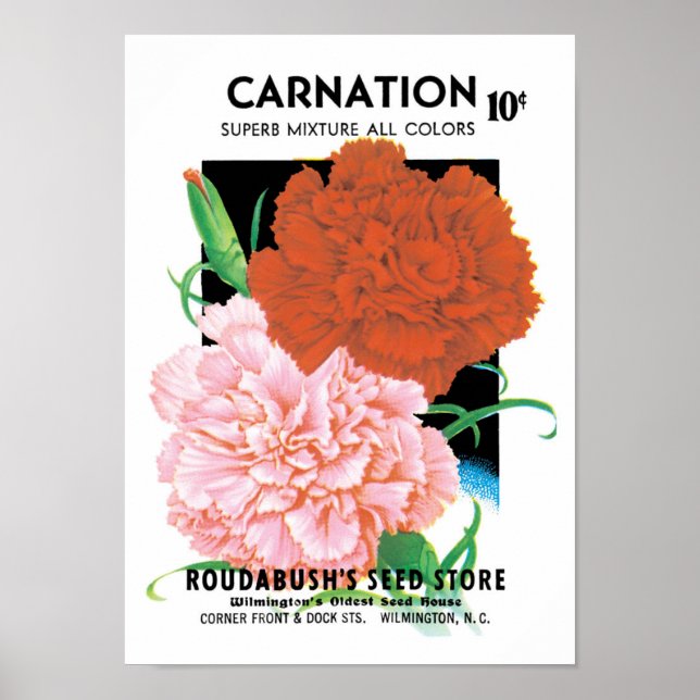 Vintage Seed Packet Label Art, Carnations Flowers Poster (Framsidan)