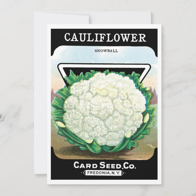 Vintage Seed Packet Label Art, CauliblommVeggies (Framsida)