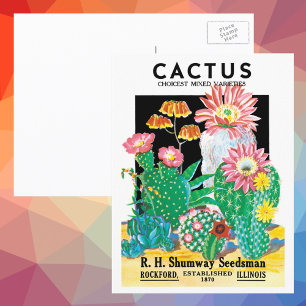 Vintage Seed Packet Label Art Desert Cactus Plants Vykort