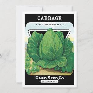 Vintage Seed Packet Label Art, Grönt Cabbage