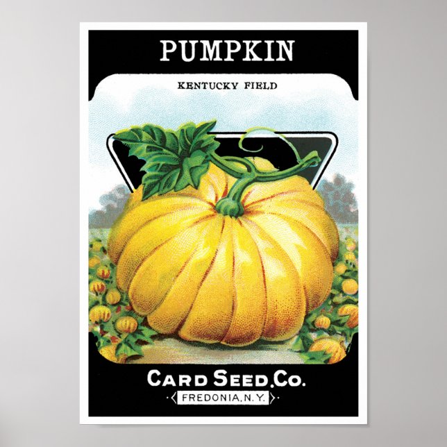 Vintage Seed Packet Label Art., Halloween Pumpkin Poster (Framsidan)