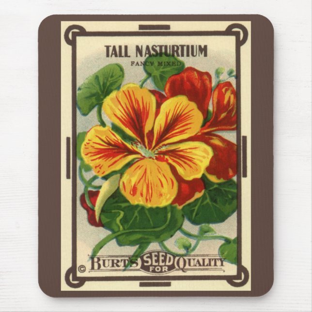 Vintage Seed Packet Label Art, Nasturtium Flowers Musmatta (Framsidan)