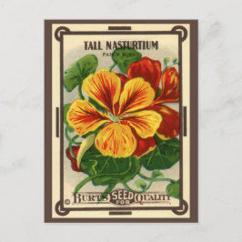 Vintage Seed Packet Label Art, Nasturtium Flowers Vykort