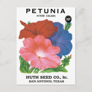 Vintage Seed Packet Label Art, Petunia Flowers Vykort