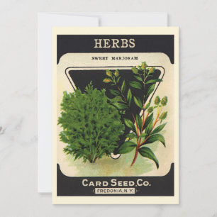 Vintage Seed Packet Label Art Sweet Marjoram Örter