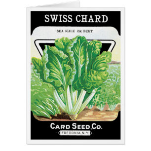 Vintage Seed Packet Label Art, Swiss Chard Veggies Hälsningskort