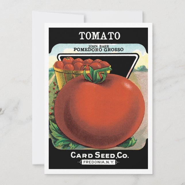 Vintage Seed Packet Label Art, Tomato Pomodoro (Framsida)