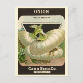 Vintage Seed Packet Label Art White Bermuda Onions Vykort